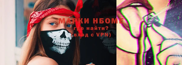 ГАЛЛЮЦИНОГЕННЫЕ ГРИБЫ Строитель
