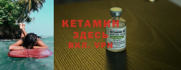 хмурый Аркадак