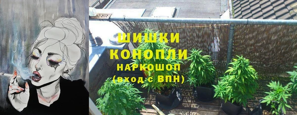 хмурый Аркадак