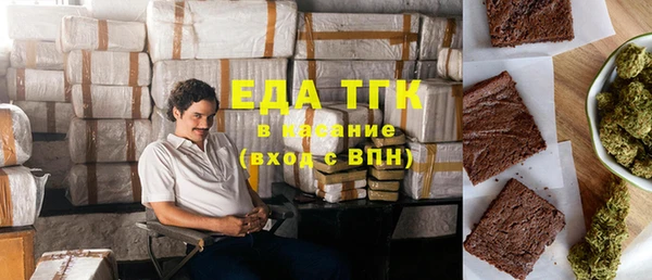 хмурый Аркадак