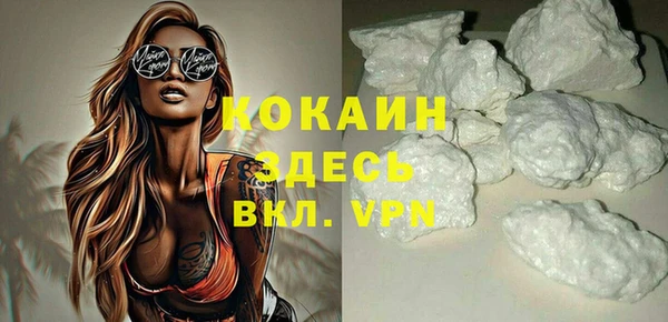 хмурый Аркадак