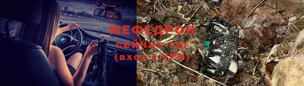 хмурый Аркадак