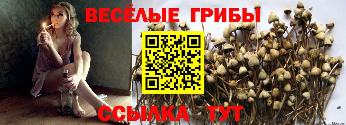 Галлюциногенные грибы Magic Shrooms Усинск